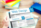 Why Your Business Needs a Professional Web Design Service Provider