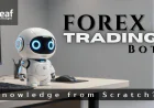 How Can You Develop Forex Trading Knowledge from Scratch?