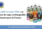 RAndM Tornado 7000 : un choix de vape rechargeable puissant pour la France