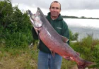 Alaska Fishing Trips 2026: What the Next Season Is Shaping Up to Look Like