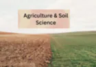 Soil