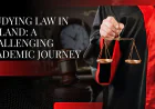 Studying Law in Ireland: A Challenging Academic Journey