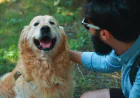 10 Proven Benefits of Animal Assisted Dog Therapy for Mental Health