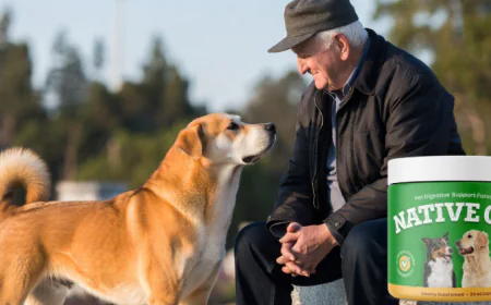 NativeGut Review 2026: Boost Your Dog's Defense with a Healthy Gut