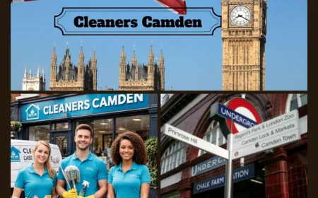 Professional Cleaning Service of Homes in Cleaners Camden
