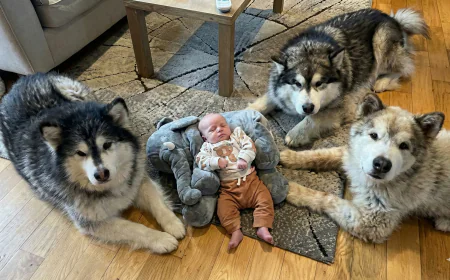 How to Get Rid of Wet Carpet Smell in Your Home