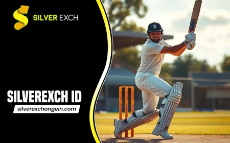 Silver Exchange ID: Find your Cricket Silver Exchange ID
