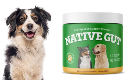 NativeGut CA: The Natural Choice for Sustained Digestive Comfort & Metabolic Health