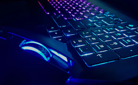 The Role of Transparency in Online Sports Gaming Platforms