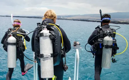 Top Benefits of Enrolling in PADI Professional Courses