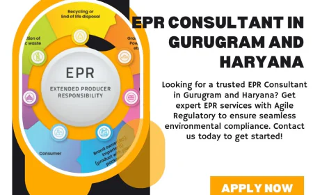 How EPR Services Are Transforming Environmental Compliance in Haryana
