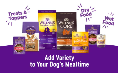 Choosing Wellness Puppy Food: Expert Advice for Pet Owners