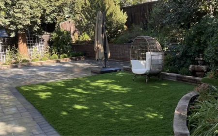 What Services Do Professional Landscapers in Martinez CA Offer?