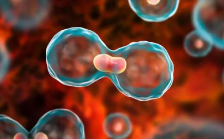 Early Cancer Detection: How Advanced Screening & AI Are Saving Lives