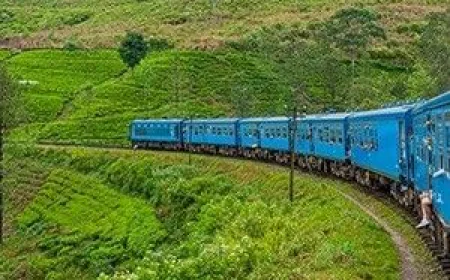 Why Personalized Holidays Matter – The Odyssey Travels Approach