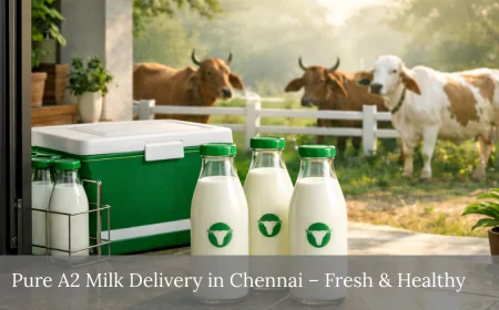 Pure A2 Milk Delivery in Chennai – Fresh & Healthy