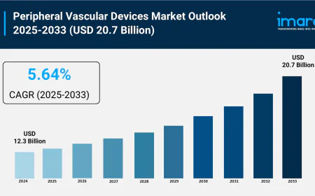 Peripheral Vascular Devices Market Size, Share and Growth 2025-2033