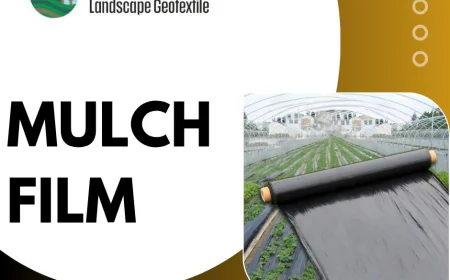 Mulch film: Types, Use of Mulch and Role in Modern Agriculture