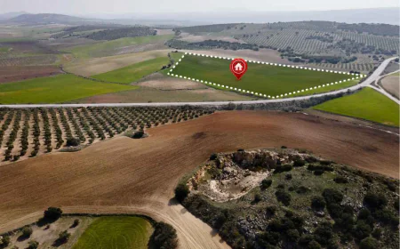 What Amenities Make KNS Sampada Plots a Premium Plot Project?