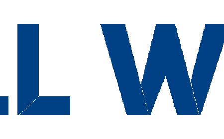 Partial vs Full Car Wraps: Which Is Right for Long Beach?