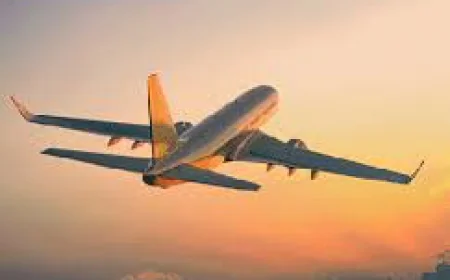 A Complete Guide to Finding Flight Deals and Airline Office Information Online