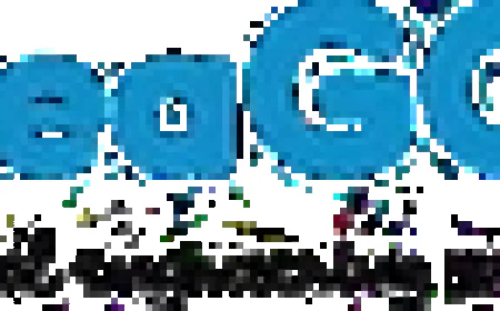 Making Connections Work: Insights from a MuleSoft Integration Service Provider