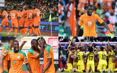 Ivory Coast Vs Ecuador Tickets: Ivory Coast’s Big Moment Arrives at FIFA World Cup