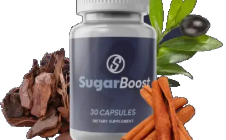 Sugar Boost Supplement for Natural Glucose Balance & Wellness | Save $780 & Get 2 Free Bonuses
