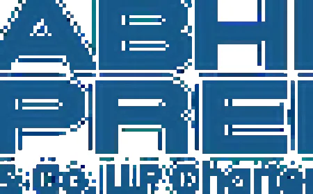 CFO Services: Making Sense of Business Numbers Without the Noise