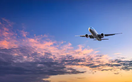 Traveling Solo with Confidence at Pegasus Airlines Dublin Office