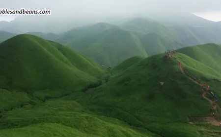 Agni Gudda Hill, Sakleshpur – A Scenic Trek Near Pebbles & Beans Resort