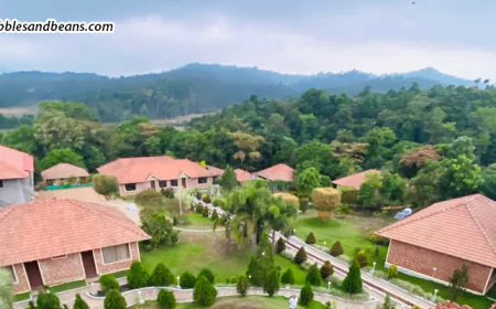 Top Nature Retreats in Sakleshpur for a Peaceful Hill Getaway – Pebbles & Beans Resort