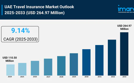 UAE Travel Insurance Market Report, Share & Analysis 2025-2033