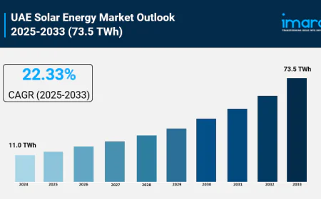 UAE Solar Energy Market Report, Share & Analysis 2025-2033