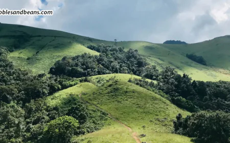 Things to Do in Sakleshpur: Nature, Trekking & a Peaceful Stay at Pebbles & Beans Resort