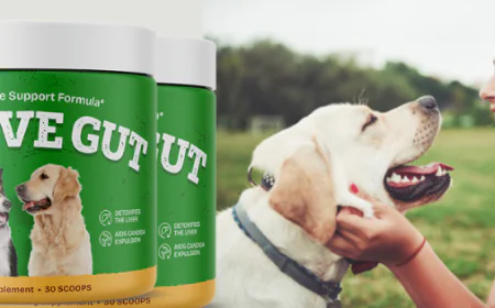 Natural Digestive Supplement for Pets – How NativeGut™ Supports Gut Health