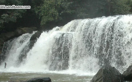 Magajahalli Falls: A Hidden Gem in the Heart of Sakleshpur