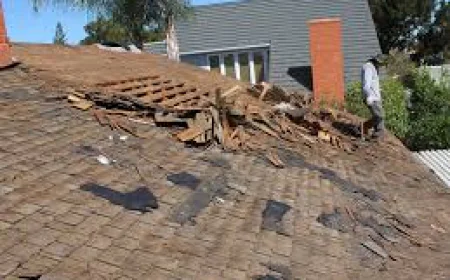 Roof Repair in Ashland, VA: Everything You Need to Know