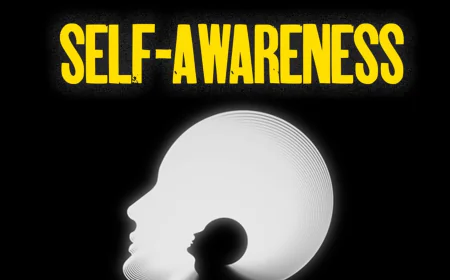 The Role of Self-Awareness in Creative Problem Solving in Michigan