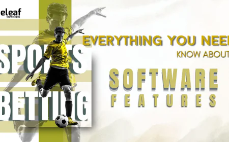 Everything You Need to Know About Sports Betting Software Features