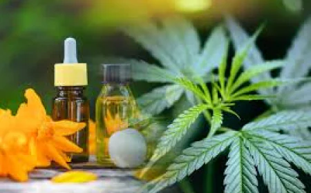 The Healing Side: Your Go-To Cannabis Dispensary in Pleasantville