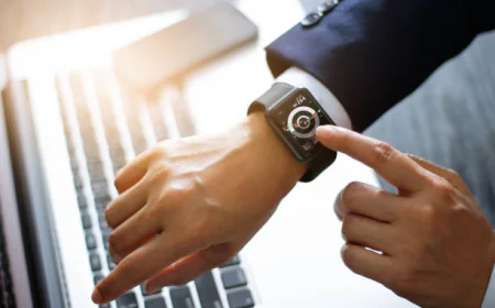 Egypt Wearable Electronics Market: Digital Growth, Health consciousness and calculated consumer adoption