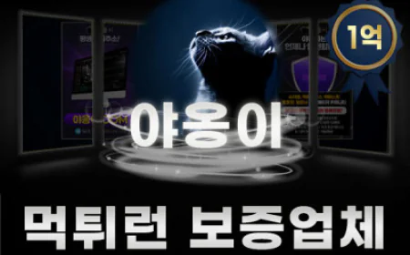 온라인 배팅 안전 수칙: 먹튀검증으로 자산 지키기