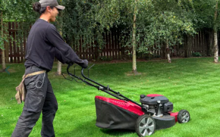 Keeping Outdoor Spaces Thriving: Why Professional Garden Care Matters More Than Ever