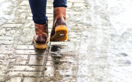 Secrets Behind How Beneficial Soil Bacteria Support Plant Growth