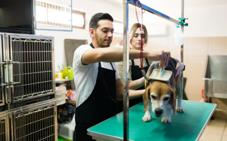 Why Mobile Pet Grooming in Dubai Is Better for Busy Owners