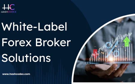 How to Get Into the Forex Market Without Heavy Development Costs