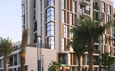 Real Estate Agents in Dubai Driving Profitable Property Investments