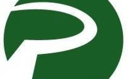 Trusted Toyota Wreckers Adelaide - Paradise Auto