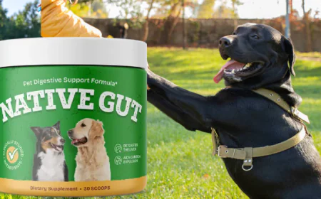 NativeGut Benefits: Real Results for Dog Digestive and Immune Health